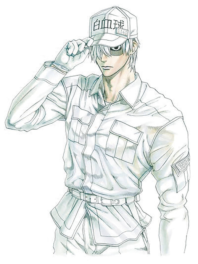 CELLS AT WORK GN VOL 06 (RES) (C: 1-1-0)