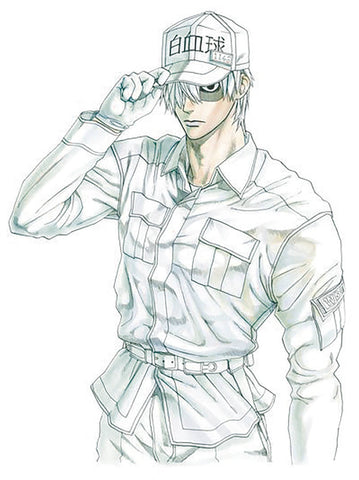 CELLS AT WORK GN VOL 06 (RES) (C: 1-1-0)